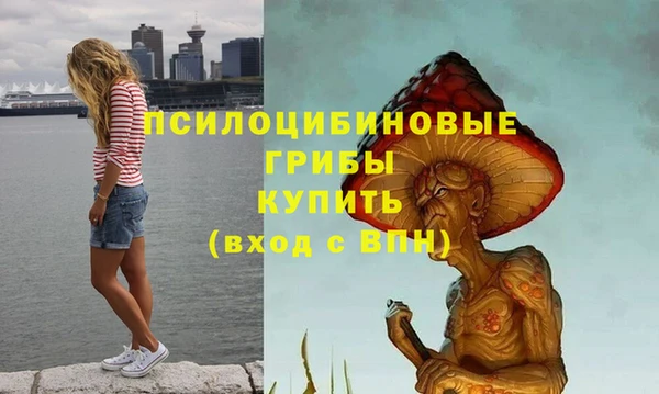 прущие крисы Алексин