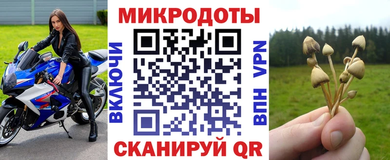 Псилоцибиновые грибы Magic Shrooms  наркотики  Советский 